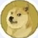 狗狗VPN
